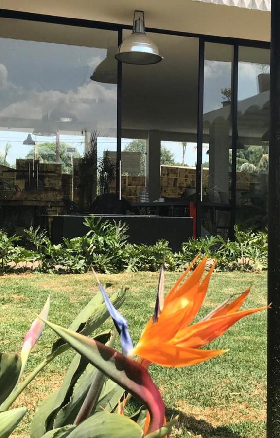 Calido Cosmos Hotel Cholula Exteriör bild